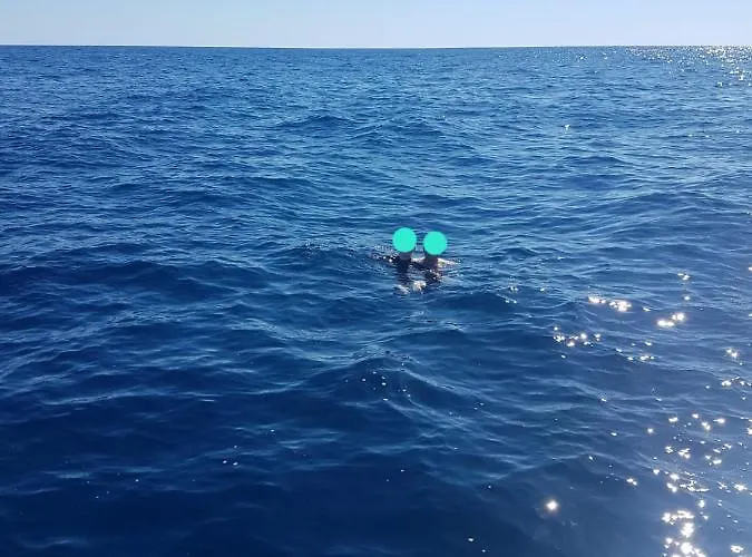 Oliver - Breathtaking Small Pool 14 Sqm Hydromassage On The Rock - Coast Villa *